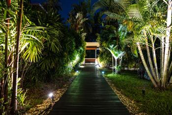 Landscape Lighting in Miami, Pinecrest, Coral Gables, Coconut Grove and Nearby Cities