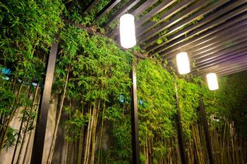 佛罗里达州珊瑚山墙的户外必威体育app照明以竹子和藤架为特色